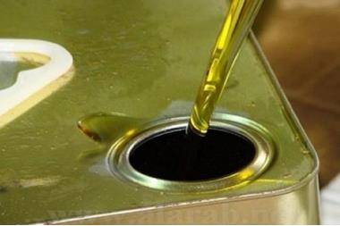 الكرك: تراجع أسعار زيت الزيتون وسط وفرة الإنتاج