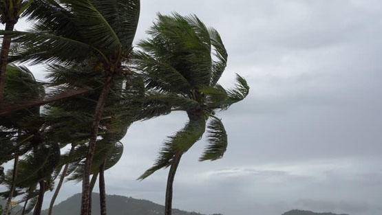 الأرصاد تنشر حالة الطقس في المملكة لـ3 أيام قادمة و تُحذر الأردنيين