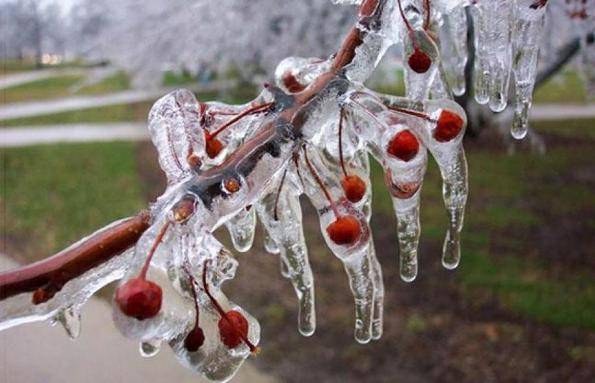 الأرصاد تُحذر الأردنيين مجدداً من الصقيع