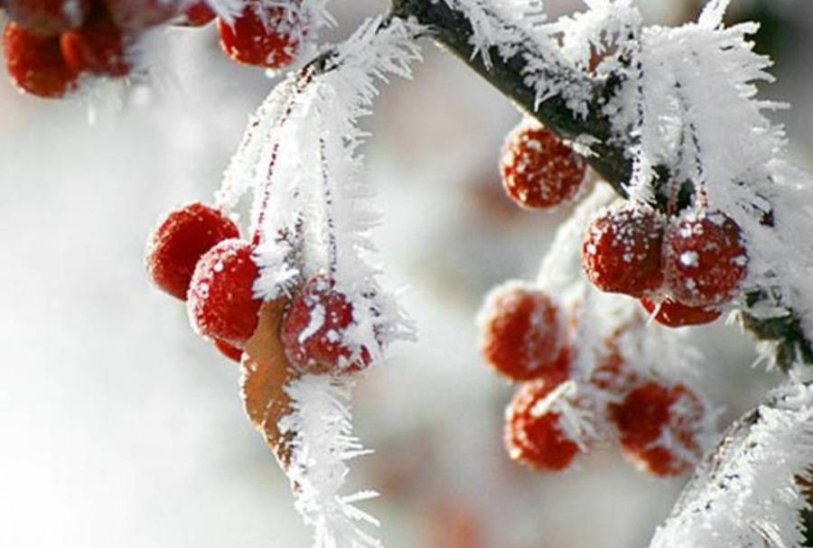 الأرصاد تنشر حالة الطقس في المملكة و تواصل التحذير من الصقيع .. تفاصيل