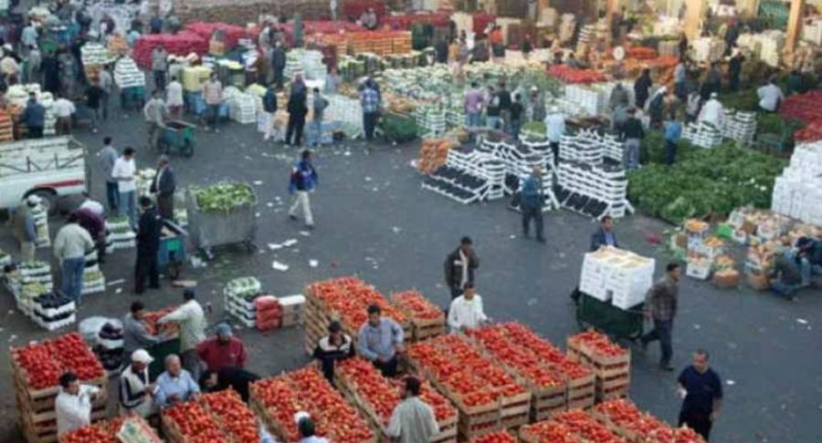 وزارة العمل تضبط 17 عاملاً وافداً داخل السوق المركزي يعملون بمهنة نقل الخضار بالعربات الصغيرة