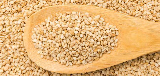 حاويات سمسم مليئة بالحشرات دخلت الأردن