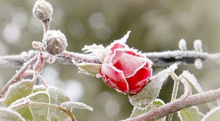 الأرصاد .. تحذر من تشكل الصقيع