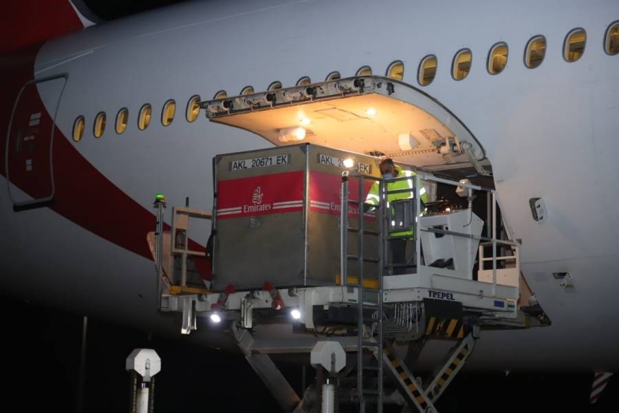 عاجل || وصول الدفعة الأولى من لقاح سينوفارم إلى الأردن.صور