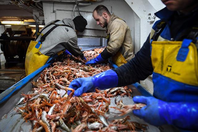 Brexit perfect storm hits Scottish seafood exporters