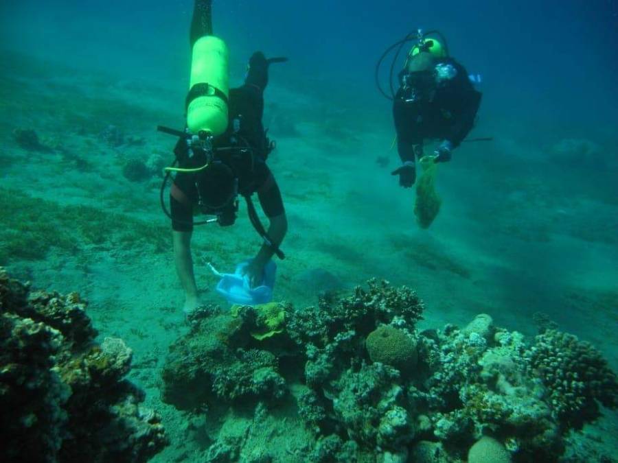 غطاسو الدفاع المدني ينفذون حملة نظافة في خليج العقبة