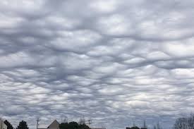 اجواء لطيفة الحرارة اليوم وامطار ما بعد منتصف الليل