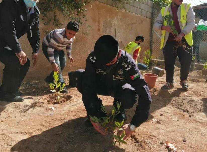 الشرطة المجتمعية في العقبة  تنظم يوماً لزراعة الأشجار بالتعاون مع التربية والتعليم_ صور