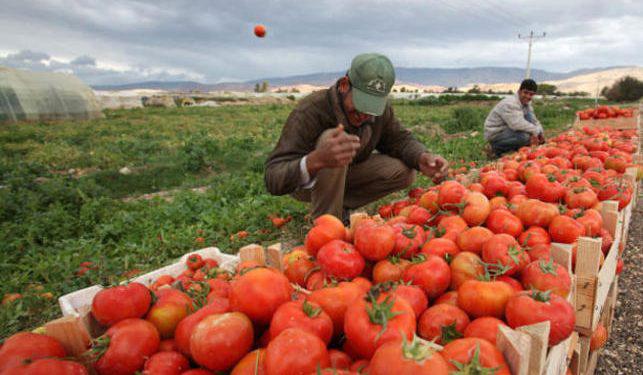 Farmers in dire need of marketing company — stakeholders