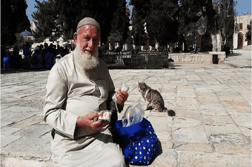 ناشطون فلسطينيون يعلنون عن وفاة الحاج المرابط غسان يونس