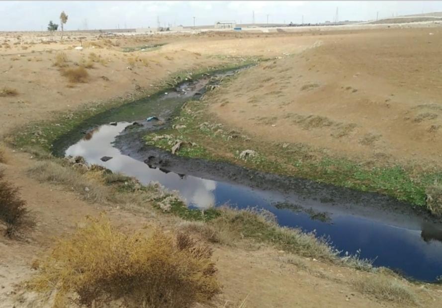 تسرب مياه عادمة من محطة تنقية جنوب عمان تثير غضب المواطنين... فيديو