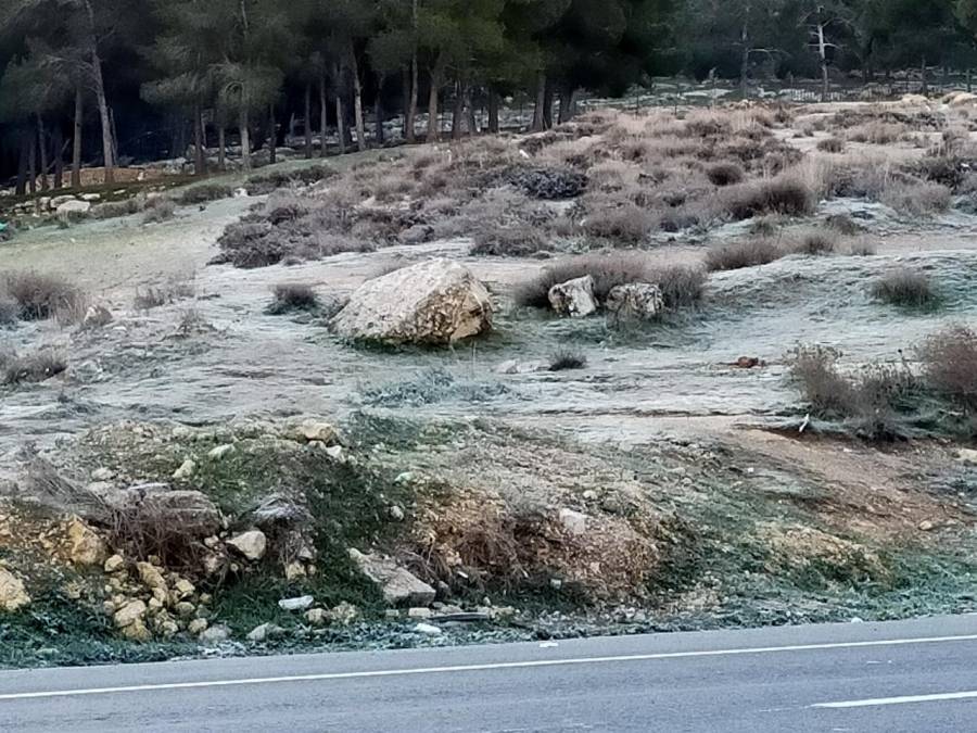 عاجل : بالصور .. انجماد واسع في عمان صباح الجمعة