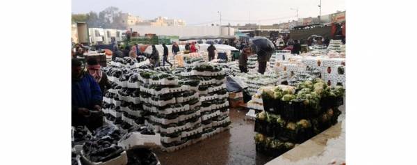 1642 طن خضار وفواكه ترد السوق المركزي