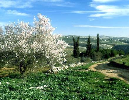 الاثنين .. ارتفاع قليل على درجات الحرارة.