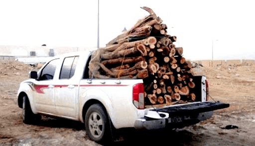 ضبط سيارة محملة بالأحطاب في جرش