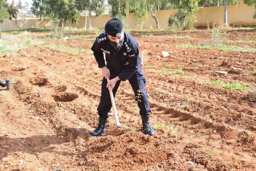 مديرية شرطة الرمثا تحتفل بيوم الشجرة
