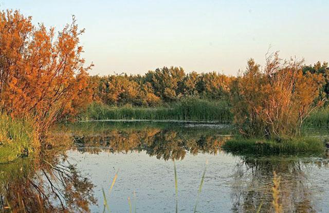 World Wetlands Day marked with focus on freshwater sources