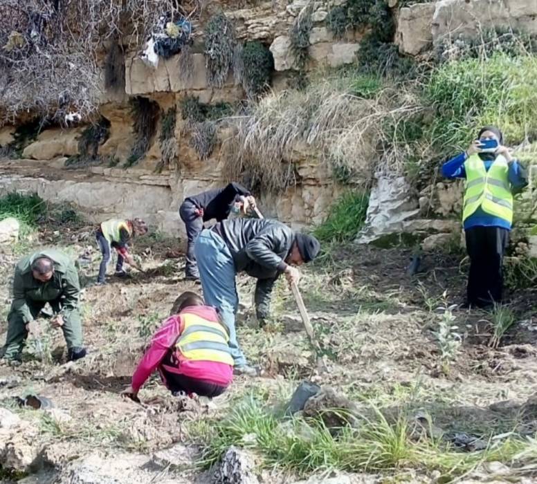إطلاق مبادرة  كهرمان ماحص  بمناسبه عيد ميلاد الملك... صور