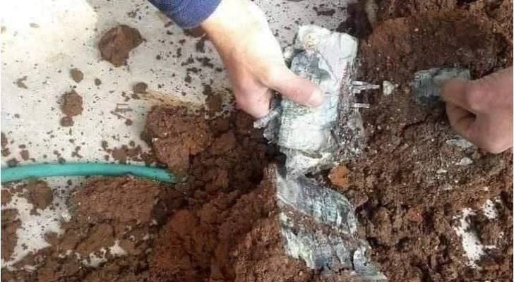 عاجل : ما حقيقة تخبئة عجوز في الأردن الاف الدنانير بـ قواوير زريعة؟ .. صور