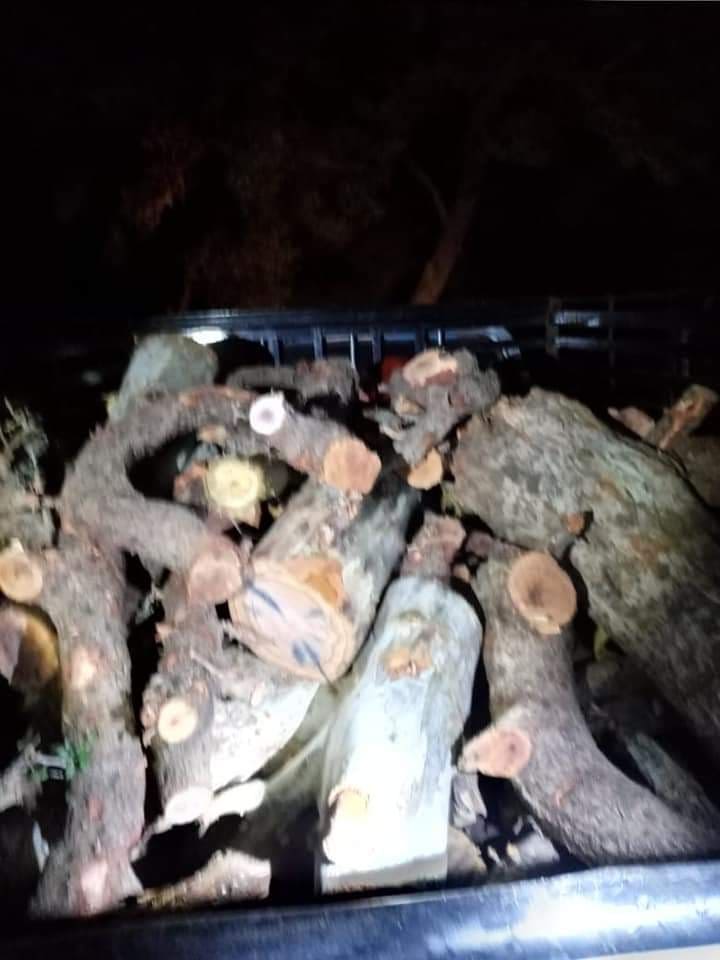 دوريات حراج الزراعة تحبط تهريب احطاب والقبض على احد مجرمي التحطيب