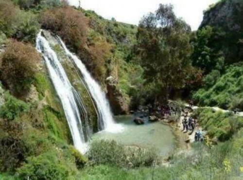 الأجواء الدافئة تنعش الحركة السياحية في عجلون