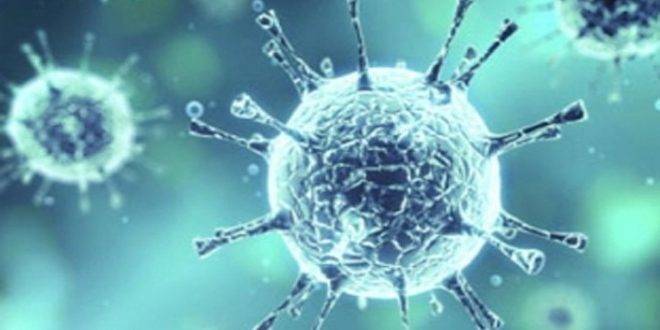 الهيئة الأوروبية للصحة: فيروس كورونا قد يبقى بيننا