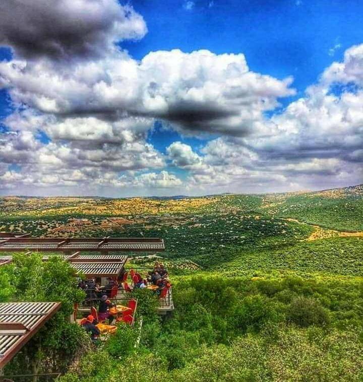 الأردنيون خارج منازلهم للتنزه في أول جمعة منذ أكثر من 4 أشهر