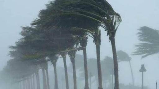 الأرصاد تحذر من رياح الثلاثاء