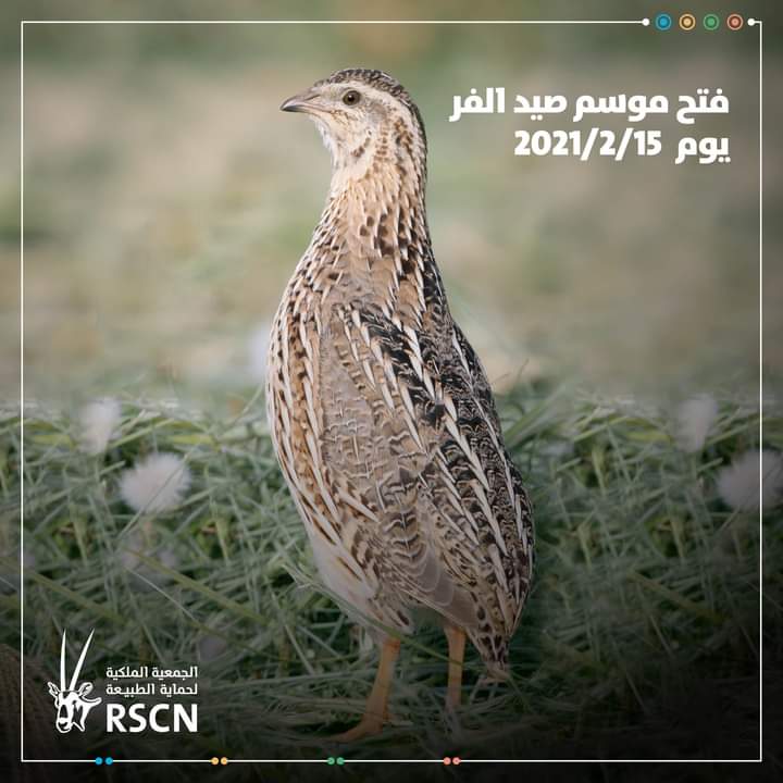 إعلان صادر عن الجمعية الملكية لحماية الطبيعة