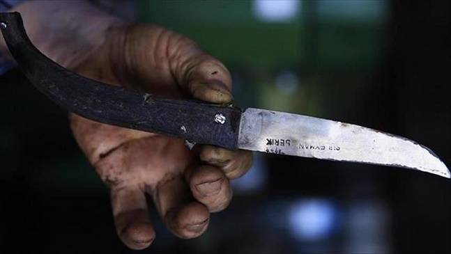 طعن نائب رئيس بلدية الجيزة والسبب ؟؟