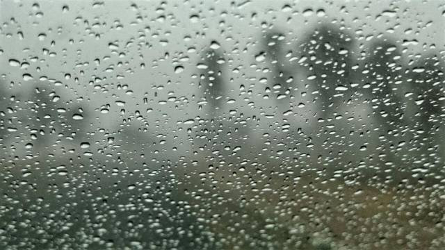 اربد الأعلى هطولا .. كميات الأمطار حتى صباح الأربعاء  جدول