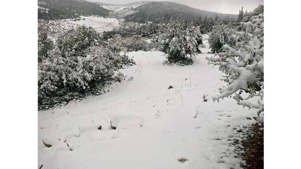 عجلون : اخلاء وإنقاذ 1034 شخصا حاصرتهم الثلوج في مناطق متعددة