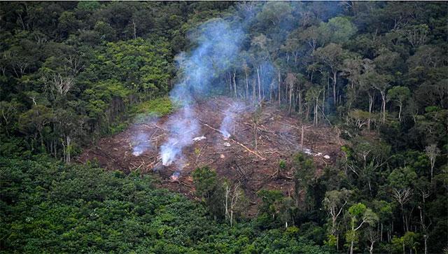 Environmental degradation poses triple threat to humans UN