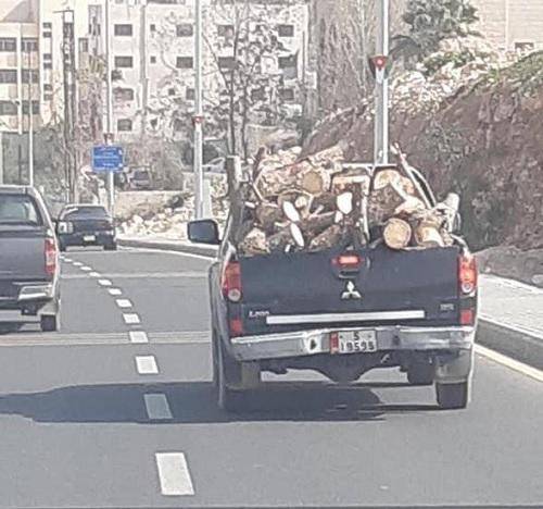 حقيقة متاجرة موظفي الزراعة بالحطب؟