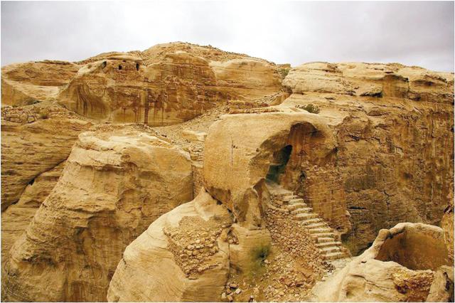 Webinar held on Late Petra Project