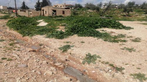 مطالبة بإيجاد حلول لانتشار روائح وتدفق مياه عادمة في حي باب عمّان