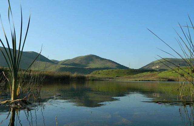 Project seeks to conserve natural water ecosystem at Yarmouk Nature Reserve