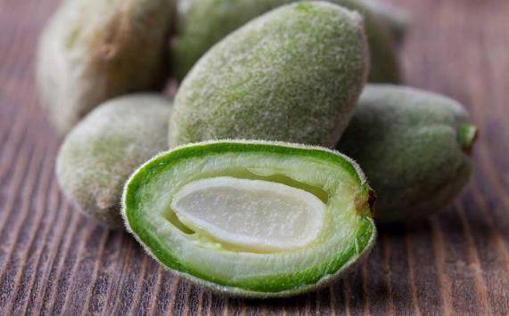 بـ19 دينارا كيلو اللوز الأخضر في عمّان