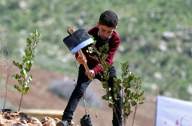 Jordan aims for green with 10million tree campaign