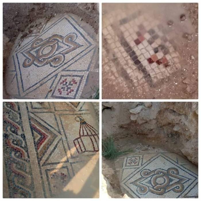 العثور على مجموعة من قطع الفسيفساء في محافظة عجلون.