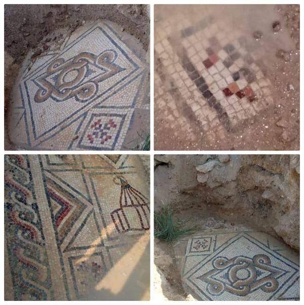 العثور على فسيفساء في عجلون.. خلال التنقيب عن دفائن