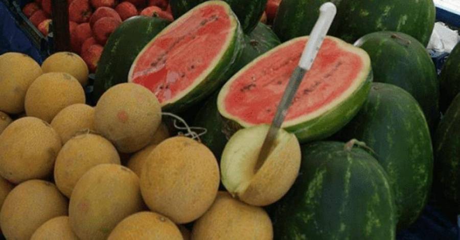 بدء تقديم طلبات تصاريح إقامة معرشات الشمام والبطيخ إلكترونياً غدا