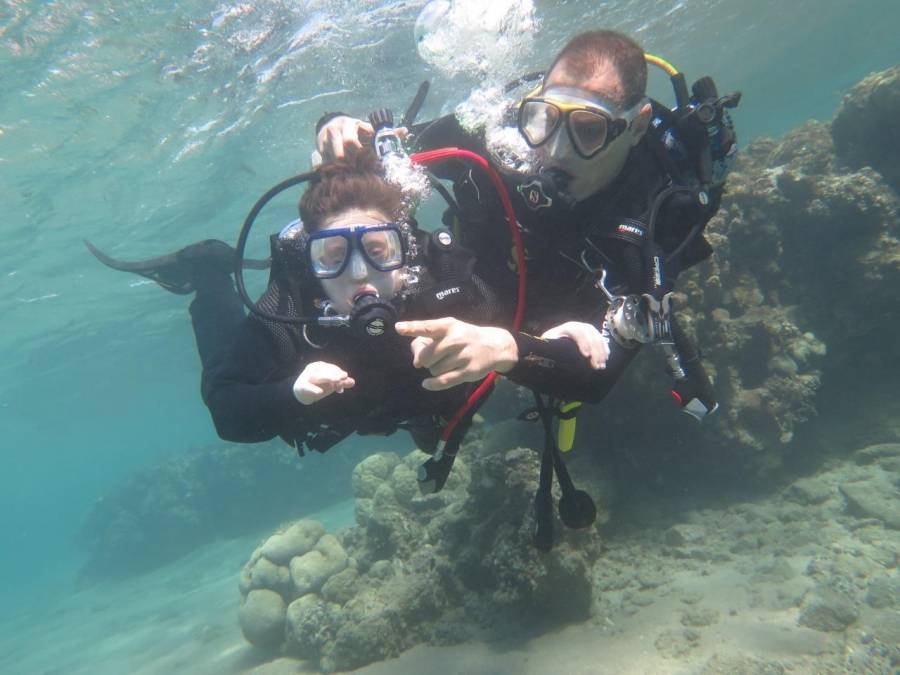 متلازمة داون  «أية مخيمر » في عالم الغطس مع مبادرة الهدب