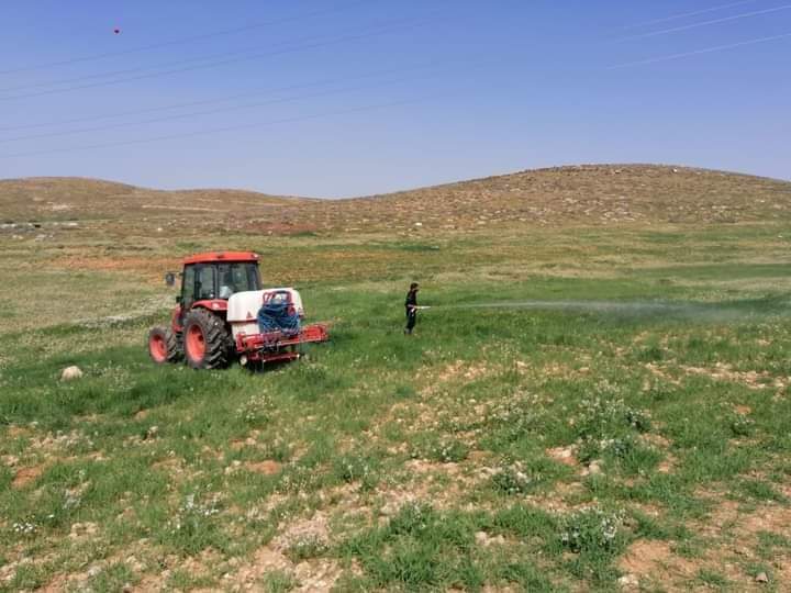 مديرية زراعة المفرق تنفذ حملة رش لمكافحة آفة دودة الزرع