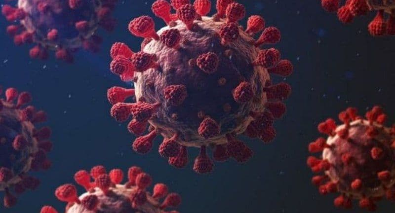 دراسة أردنية تكشف تأثير جائحة كورونا على جودة الحياة