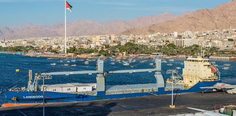 عاجل : الهيئة البحرية:السفن المحملة بالمواشي تصل مساء غد ولها أولوية الدخول للأرصفة وتحمل 100 ألف رأس