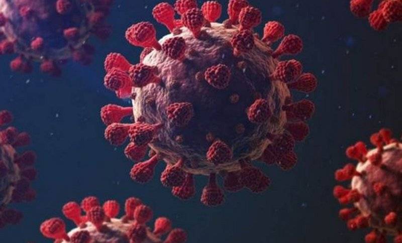 دراسة : تتصدى للإصابة بفيروس كورونا...تفاصيل