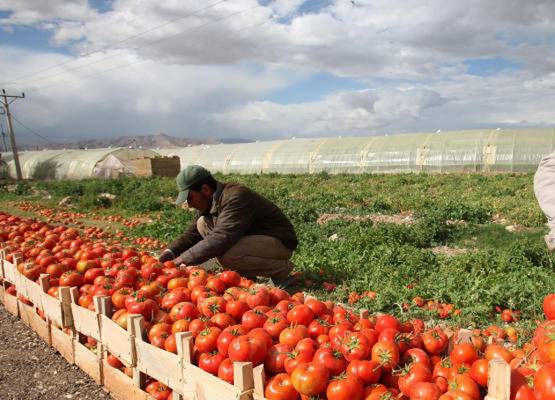 تأجيل أقساط شهرين من قروض المزارعين