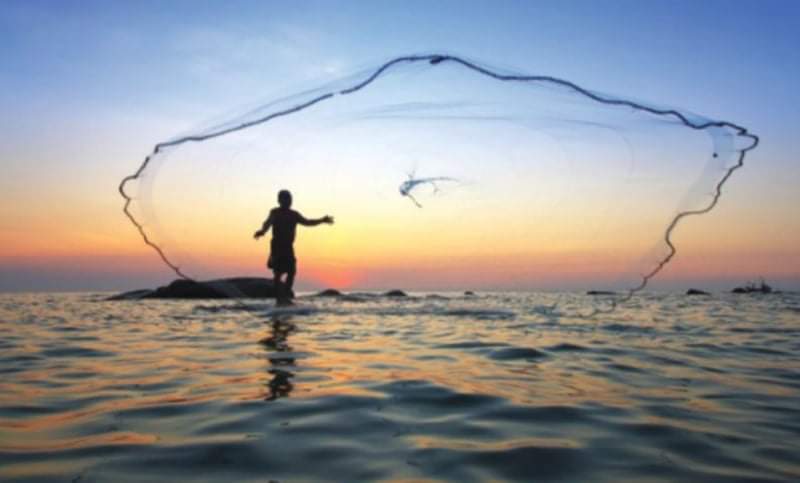 وقف صيد الأسماك في العقبة حتى منتصف حزيران تقرر تعويض المتضررين