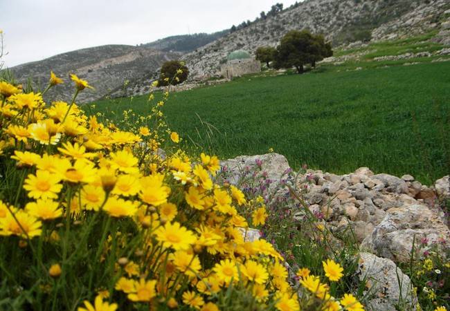 الطقس... ربيعي معتدل الأحد